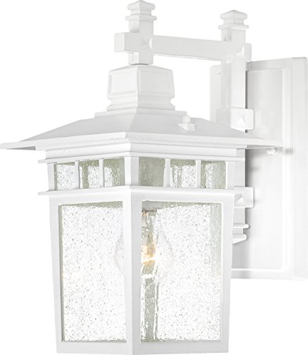 Nuvo Lighting 60/4957 One Light Outdoor Wall Fixture