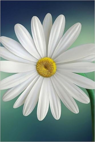 Amazon Daisy Journal 160 Page Lined Journal Notebook Mahtava Journals Letters Correspondence