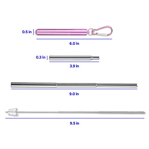 Flyby Portable Reusable Drinking Straws | Collapsible & Foldable Telescopic Stainless Steel Metal Straw Dispenser | Final Aluminum Case, Long Cleaning Brush, Silicone Tip | Pink