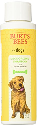Burt's Bees for Dogs Deodorizing Shampoo with Apple and Rosemary, 16 Ounces
