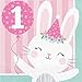 1st Birthday Girl Bunny Party Supplies for 16 Guests - Dinner & Dessert Plates, Napkins, Cups, Tablecover, Thank You Stickers & Checklist - 78 Pieces - Made in The USA