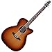 Seagull 040414 Entourage Rustic Concert Hall CW QIT Acoustic Electric Guitar w/ Gig Bag and Stand