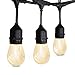Amico 48FT LED Outdoor String Lights Weatherproof Vintage Dimmable Edison Plastic Bulbs with 15 Sockets