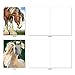 The Best Card Company - 10 Mixed Set Horse Note Cards Blank (4 x 5.12 Inch) - Wildlife, Animal Assorted Boxed Bulk Pack - Horses | Magnificent Manes M4601OCB-B1x10