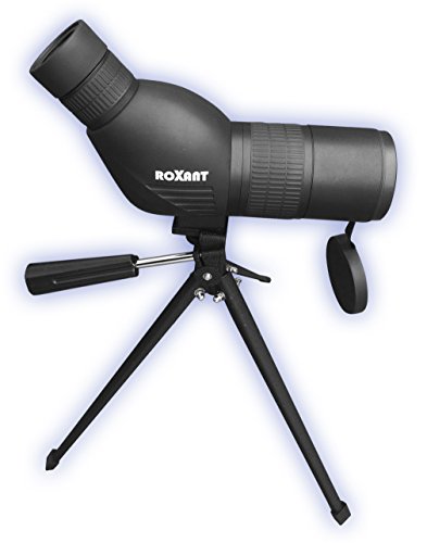 2 Roxant+Authentic+Blackbird+Definition+Spotting