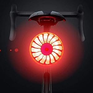Bike Rear Light, WASAGA Smart Brake Bike Tail Light USB Rechargeable Red High Intensity Bicycle Taillight Waterproof…