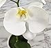 LIVILAN White Silk Artificial Orchids Arrangements with Ceramic vase for Decoration Fake Flowers for Table Centerpiece Home Decor Office Wedding Party Vivid Lifelike