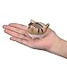 Bluecell Mini Ceramic Cute Animal Shaped Cartoon Home Decoration Vase Flower Pots Cat Shape Planter for Succulent Plant/Cactus Flower (Adorkable)
