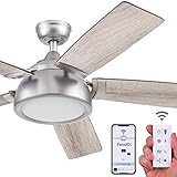 Prominence Home 51640-01 Potomac Smart Ceiling Fan