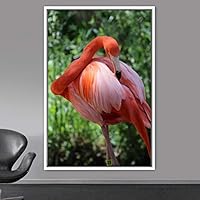 Framed Canvas Wall Art Single Bird Birds Expressive Farmhouse/Country Multicolor Photography Portrait Single - 16x24 inches