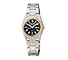 Seiko Women's Two-Tone Blue Dial Solar Calendar Watch