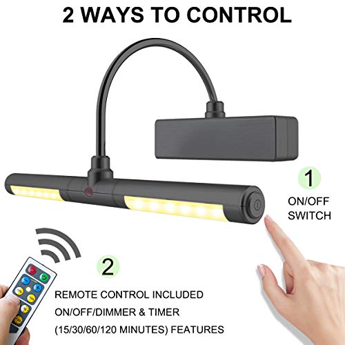 LUXSWAY Battery Operated Picture Light,Wireless Remote Painting Light,3 Modes Dimmable Art Display Light,180 Rotatable Light Head and Timer Lighting up for Painting Frame Portrait Art-Black