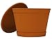13″ Heavy Duty Tray/Saucer (2 Pack) Country Look, Pot/Planter Base For Indoor/Outdoor Decor Use. Long Lasting, Reusable Light Weight (13 inches, Clay)thumb 2