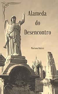 Livro Alameda do Desencontro