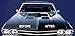 Turtle Wax - 50598 Speed Compound, 16 oz, White, Bottle