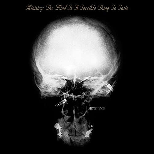 Amazon.com: Filth Pig: CDs & Vinyl