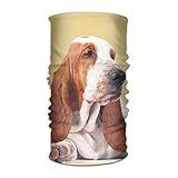 NDJHEH Magic Headwear Basset Hound Dog Outdoor Scarf Headbands Bandana Mask Neck Gaiter Head Wrap Mask Sweatband
