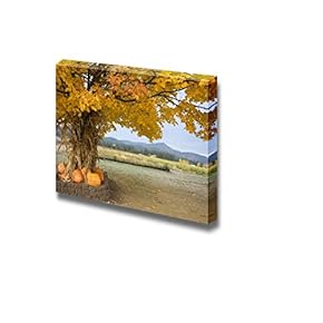 Canvas Prints Wall Art - Pumpkins and Cornstalks Under a Tree in Autumn | Modern Wall Decor/Home Decoration Stretched Gallery Canvas Wrap Giclee Print. Ready to Hang - 12" x 18"