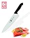Icel Cutlery Stainless Steel Blade Chef's Knife, 10