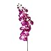 Ximkee 1 x Artificial Butterfly Orchid Flower Plant Home Decor Fuchsia (1pcs, Fuschia)