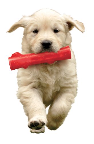 KONG Squeezz Stick Dog Toy, Large, Colors Vary