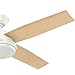 Hunter Dempsey Indoor Ceiling Fan with Remote Control