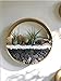 Gold 3 Pcs Round Indoor Wall Succulent Hanging Planter, Metal Decorative Freestanding Mount Holder with Glass for Air Plants, Faux Flower