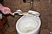 Sani-Hani Antimicrobial Toilet Seat Lifter/Handle - Best on the Market, Great for Kids & Adults - Built to Last, Be HEALTHY & SANITARY - Stop spreading germs!