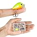 Magreel Mini Crankbaits Set Lifelike Fishing Hard Lures Kit for Trout Bass Perch Pack of 5 with Tackle Box