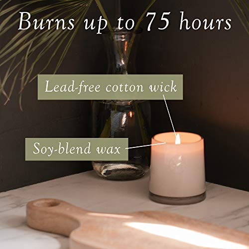 Votivo Red Currant Candle | 8.5 oz White Glass Candle