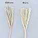 Suntq Handmade Decorations Natural Cotton Bohemia Macrame Cord DIY Wall Hanging Plant Hanger Craft Making Knitting Rope Natural Color 3mm Macrame Cord