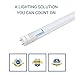 Hyperikon T8 LED Light Tube, 2ft, 8W (25W equivalent), 4000K (Daylight Glow), Frosted Cover, Dual-end powered, DLC & UL - (Pack of 4)
