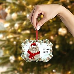 Ticked Tabby Persian Cat Christmas Ornament 2024