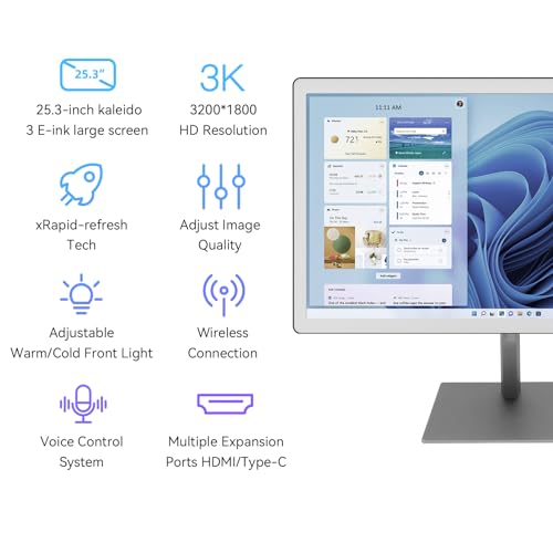 Bigme B251 Epaper Color Monitor 25.3 Inch Screen