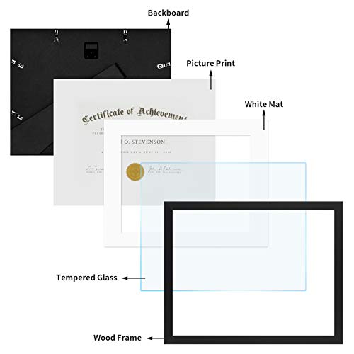 ONE WALL 11x14 Document Frame Displays 8.5x11 Diplomas with Mat or