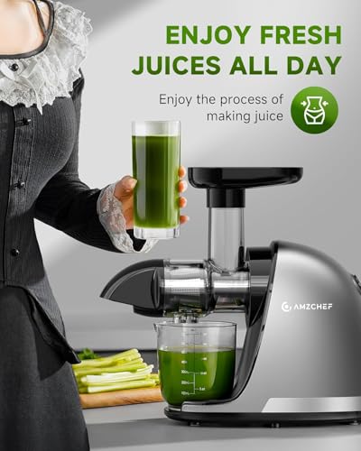 AMZCHEF Cold Press Slow Juicer, Electric Masticating Machine for Fruits and Vegetables, with 2 Cups and Brush, Grey