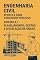 Livro Apostila 1: Planejamento, Gestão e Legislação de Obras (Apostila de Engenharia Civil para Concursos Publicos)