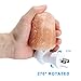 Salt Lamp,SDlife Home Decor Night Light with Wall Plug (A)