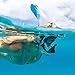 Wildhorn Seaview 180 V2 Full Face Snorkel Mask. Snorkeling Gear for Adults, Young, and Kids. Snorkel Mask Adult with FLOWTECH Advanced Breathing System, Panoramic Side Snorkel Set Design
