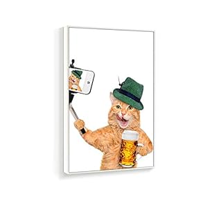 Framed Canvas Wall Art for Living Room, Bedroom Humorous Cat Canvas Prints for Home Decoration Ready to Hanging - 16x24 inches