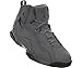 Air Jordan True Flight Cool Grey/Black