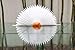 6-Piece Daisy Flower Theme Decorations Tissue Paper Fan Party Supplies Perfect for Classroom Baby Shower Wedding Birthday Backdrop Garland (Two 24 inch, Two 16 inch, Two 9.5 inch.)