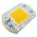 colorfulpearl Driver Free 50W LED COB Chip lamp Light Warm White 110V AC