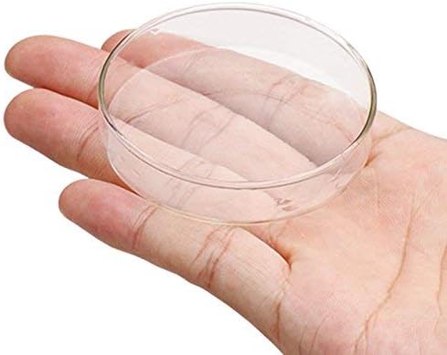 75mm Feeding Dish for Dwarf Shrimps,Snail, Fish, Aquarium Invertebrates Clear Glass Shrimp Feeder Tray