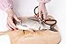 Kitchen shears- Soufull Multifunctional Stainless Steel Poultry Scissors for Poultry Meat Vegetables Herbs BBQ Open Jars and Nut Cracker -Professional Heavy Duty Kitchen Scissors