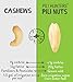 Pili Hunters - Wild Sprouted Pili Nuts, Coconut Oil and Himalayan Salt (5oz Bag) Keto/Paleo/Vegan Snacks, Low Carb Energy, Gluten Free, No Sugar Added, Superfood