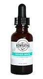 Go Go Juice Adaptogenic Tonic - Liquid Herbal Energy and Support with Organic Kombucha Tea Extract (1-2 Month Supply) 1oz, Money-back Guarantee (1)