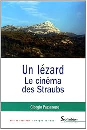 Un  lézard