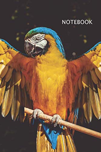 Macaw - Parrot Notebook |: Inspirational Idea Journal by The Coffiend