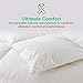 APSMILE Feather Down Comforter King Size - 650 Fill Power Medium Warm 100% Organic Cotton Cover Fluffy Goose Feather Down Duvet Insert for All Season (106x90, Ivory White)